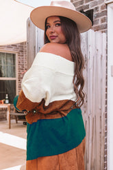 Brown Plus Size Ribbed Trim Color Block Sweater